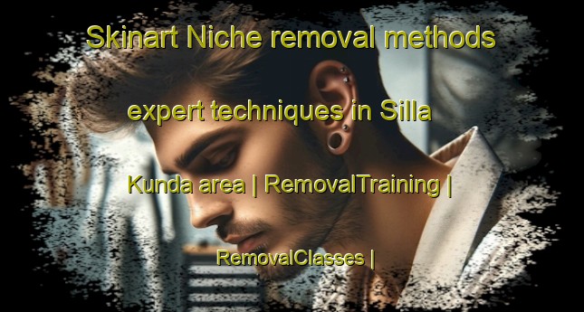 Skinart Niche removal methods expert techniques in Silla Kunda area | RemovalTraining | RemovalClasses | SkinartTraining-Gambia